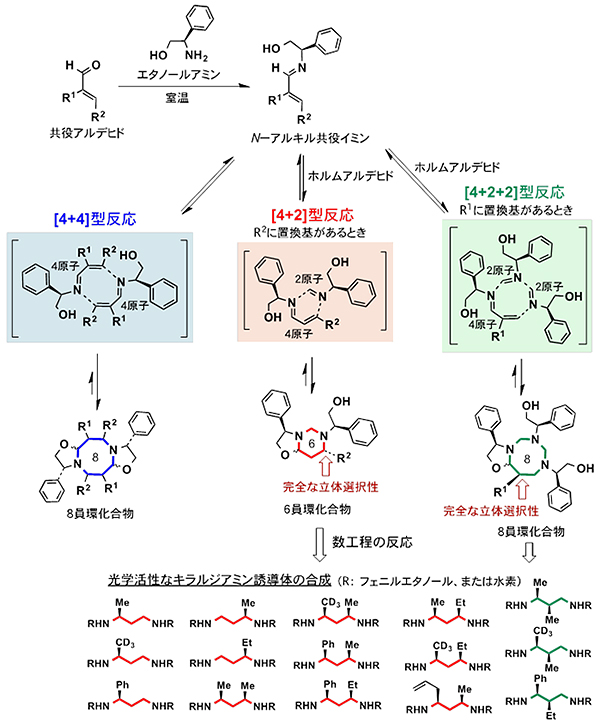 N-アルキル共役イミンの「見過ごされていた」反応性と有機合成化学への展開図