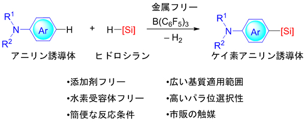 有機ホウ素化合物触媒によるアニリン誘導体のケイ素化反応の図