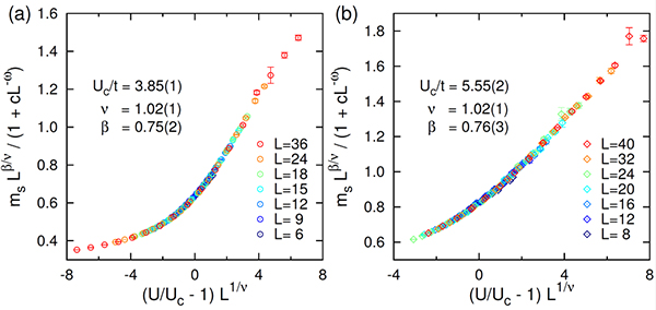 反強磁性秩序変数msに関する有限サイズスケーリング解析の結果の図