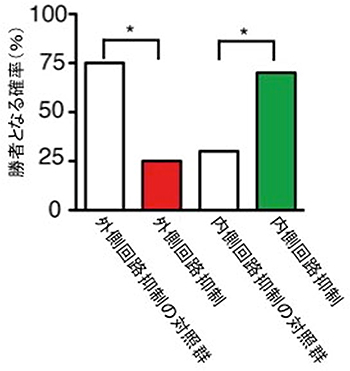 内側、外側手綱核-脚間核神経回路の抑制の効果の図