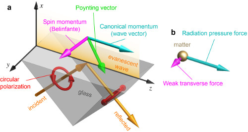 Spin momentum of light