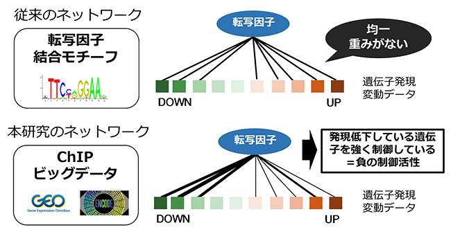 従来のネットワークとChIPビッグデータを取り入れたネットワーク図