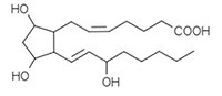プロスタグランジンF2αの構造図