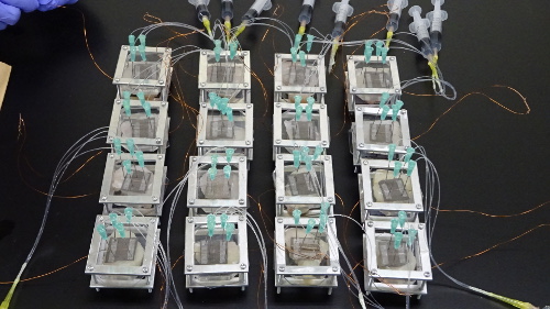an array of battery cells powered by electric organs