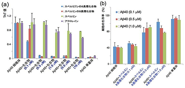 Aβ40ペプチド凝集と細胞毒性に対する8員環化合物の効果の図