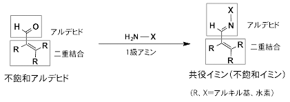 共役イミンの図