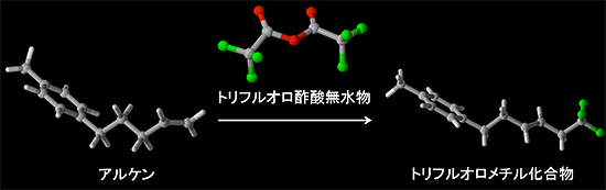 トリフルオロ酢酸無水物を用いるアルケンのトリフルオロメチル化反応の図
