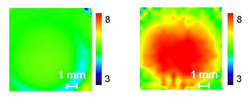 2D imaging plots of absorbance intensity ratio