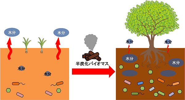 バイオマス添加による土壌改良の概要図