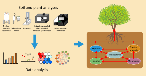 schematic showing the soil-analysis process