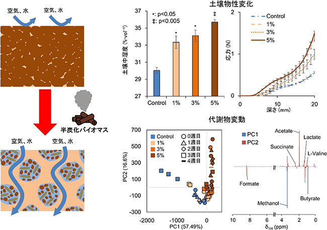 土壌改良による土壌物性や代謝物組成の変化の図