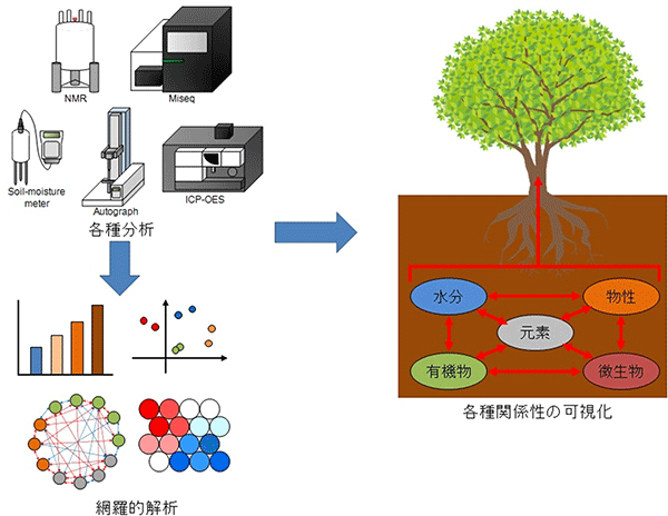 各種特性解析による環境複雑系の可視化の図