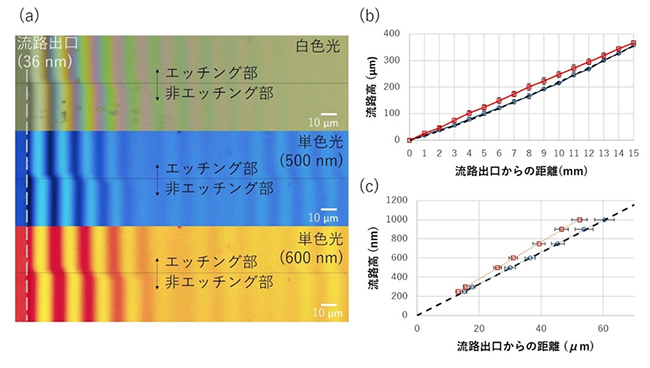 測定流路の高さの解析結果の図