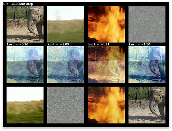 EGHRによる自然動画の独立成分への分解の図