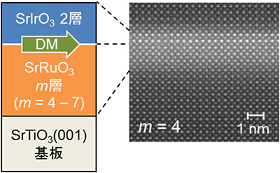 作製した界面構造と走査透過電子顕微鏡像の図
