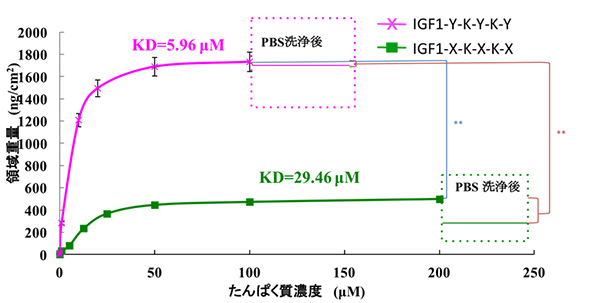 成長因子タンパク質のチタンに対する結合の強さの図