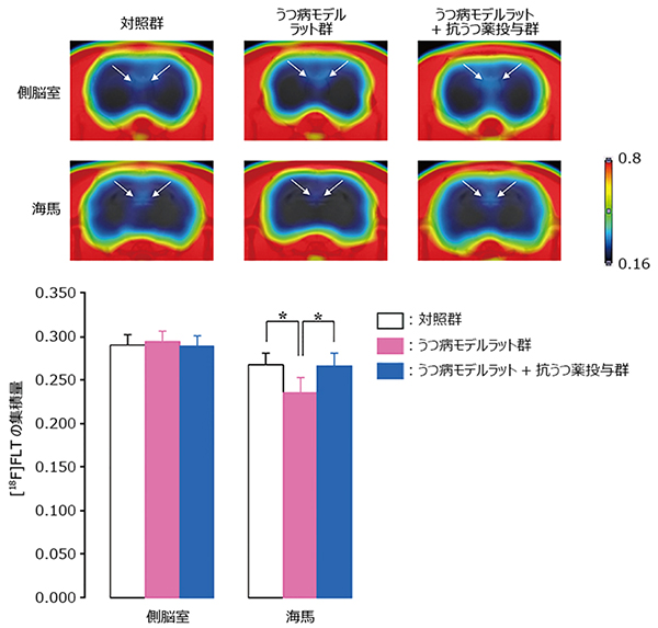 PETによるうつ病モデルラットのモニタリングの図