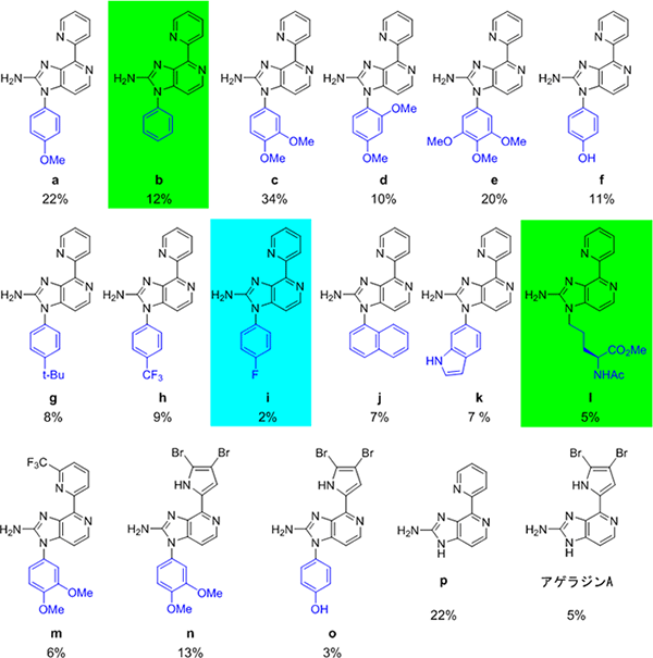 ワンポット合成により生成されたアゲラジンAとその誘導体の種類と収率の図