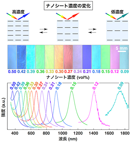 紫外光領域から近赤外光領域にわたり反射波長を制御可能な動的フォトニック構造体の図