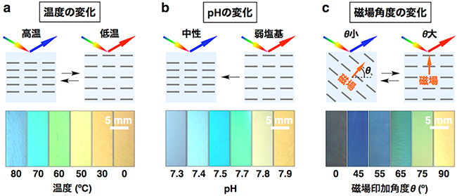 環境の変化に応じて構造色を変化させる動的フォトニック構造体の図