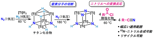 四つのチタンを含むチタン化合物による窒素分子の切断とニトリルへの変換反応の図