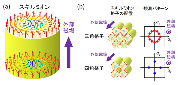スキルミオンおよびスキルミオン格子の模式図の画像