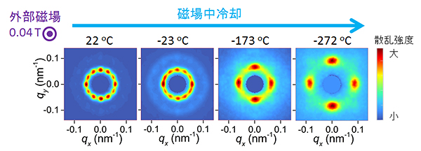 中性子小角散乱測定で観測された磁場中冷却過程でのスキルミオン格子のパターン変化の図