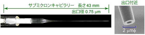 先端の穴の直径が1μm以下のサイズのガラスキャピラリー（サブミクロンキャピラリー）の図