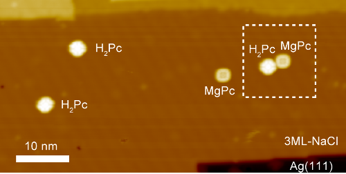 STM image of the sample molecules