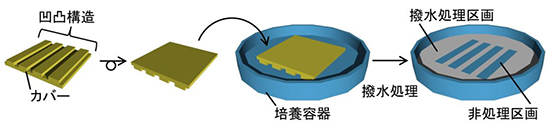 カバーの外観と撥水処理の流れの図