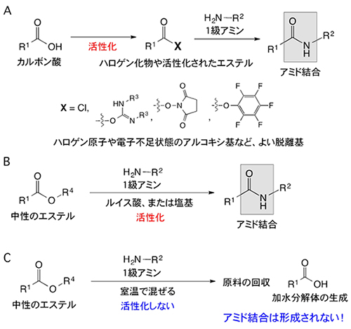 ハロゲン化アルキル アミン