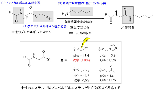 プロパルギルエステルと1級アミンとの反応によるアミド結合の新しい形成反応の図