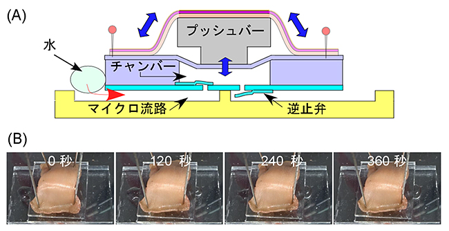 ミミズポンプの実証実験の図