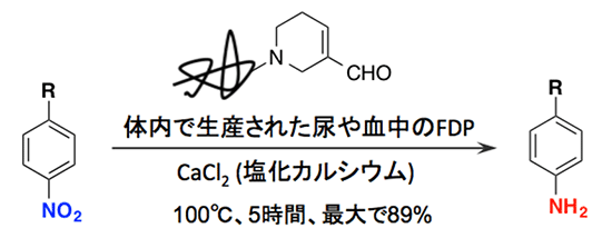 体内で生成されたFDPによるニトロベンゼン誘導体の還元反応の図