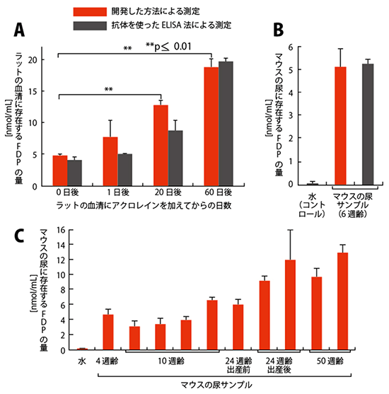 ラットやマウスの血清と尿サンプルを用いたFDPの検出の図