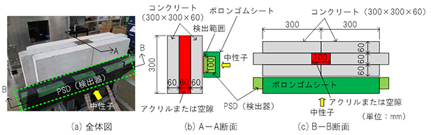 実験セットアップの図