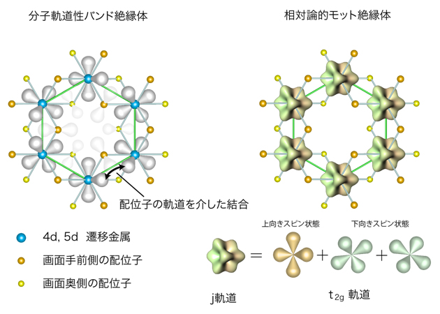 ハニカム格子の遷移金属化合物における分子軌道性バンド絶縁体と相対論的モット絶縁体の図