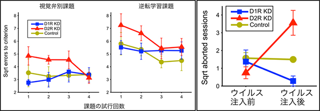 D1RおよびD2R発現量を低下させた状態での視認知学習課題の結果の図