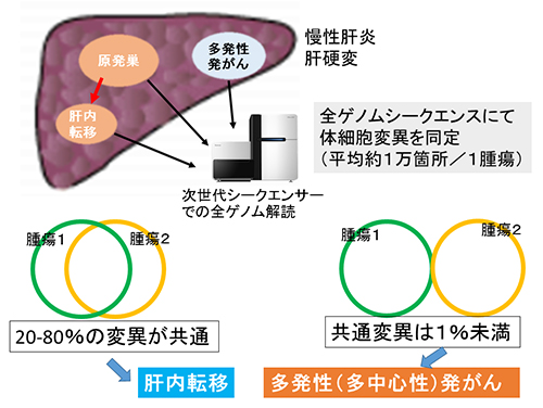 再発性/多発性肝臓がんのゲノム診断の図