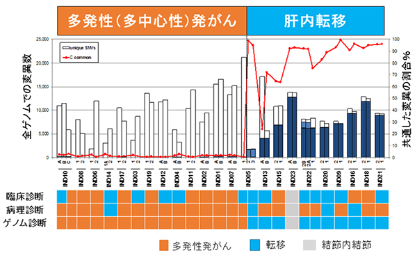 肝臓腫瘍間の共通変異の割合と臨床病理診断の比較の図