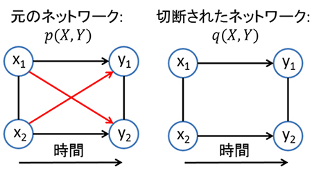 ネットワークの要素間の因果的な影響を定量化するための統一的な枠組みの図