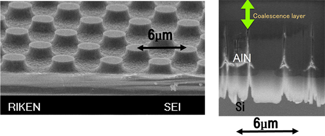 加工Si基板（PSiS）の鳥瞰写真（左）とPSiS上窒化アルミニウム（AlN）層の断面写真（右）の図