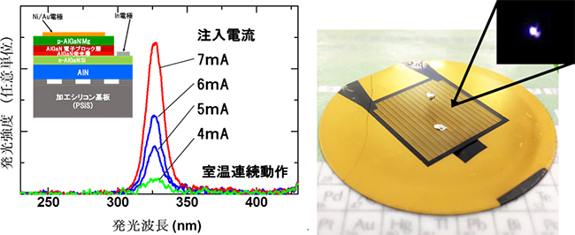 Si/AlN基板上に作製した深紫外LEDの構造、動作スペクトルと発光の様子の図