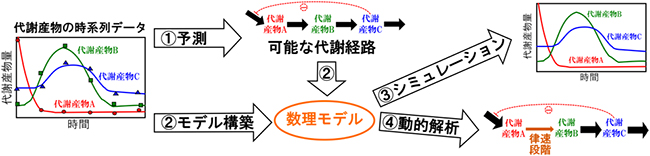 代謝の数理解析用ウェブツール「PASMet」の図