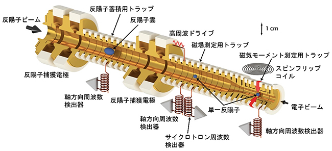 測定に用いたペニングトラップの概略図の画像