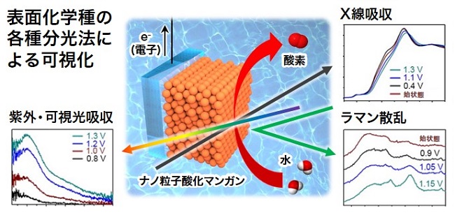 ナノ粒子酸化マンガン表面における化学種の変化や反応経路の測定の図