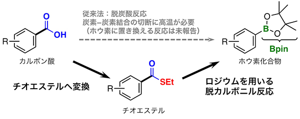 基 カルボキシ