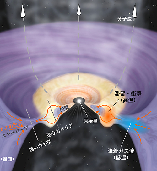 観測によって明らかになった惑星系円盤形成の様子（模式図）の画像