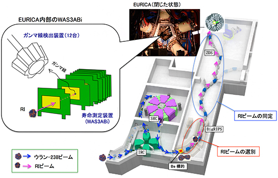 実験装置の全体像の図