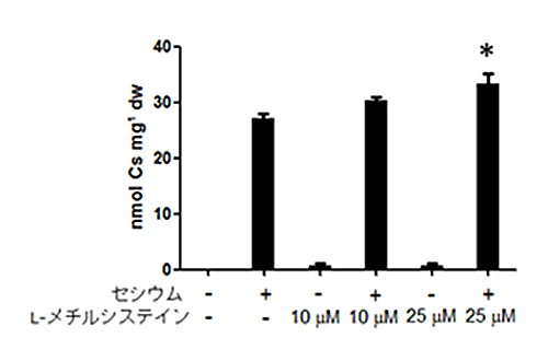 L-メチルシステイン投与の有無による植物体内のセシウム含有量の違いの図